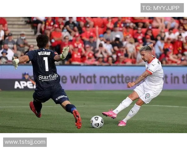 足球明星的封神之战回顾与分析揭示传奇背后的辉煌瞬间与不屈精神